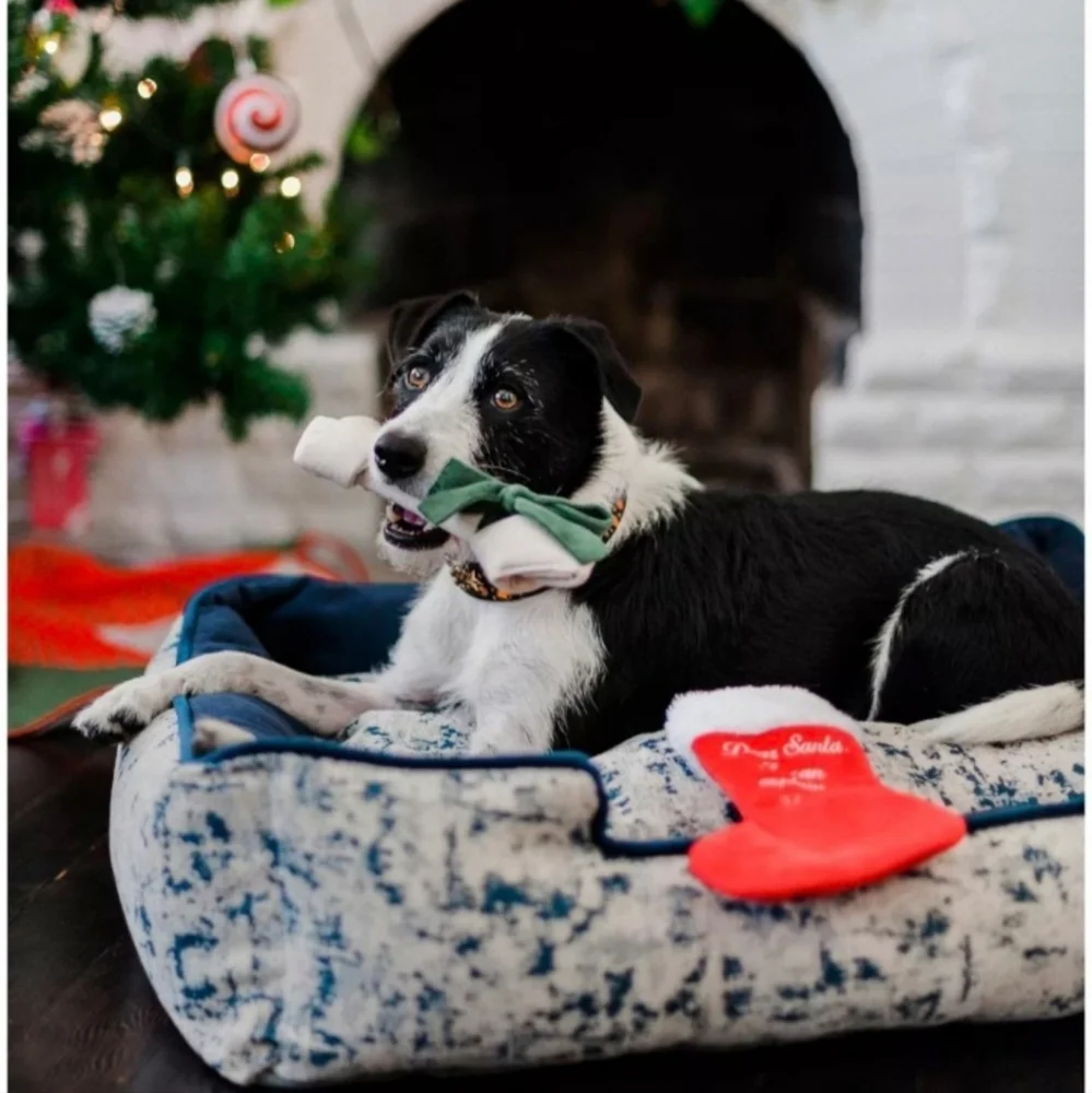 Merry Woofmas Good Dog Christmas Stocking by PLAY BNWT RETIRED 2024